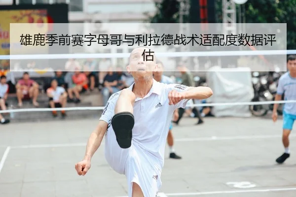 雄鹿季前赛字母哥与利拉德战术适配度数据评估 - haixing